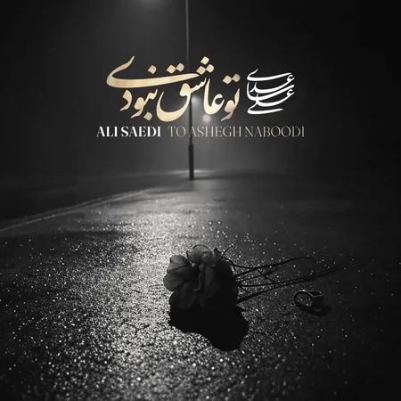  دانلود آهنگ علی ساعدی تو عاشق نبودی