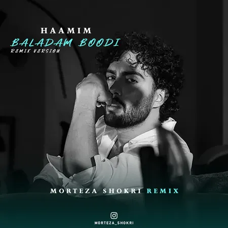  دانلود ریمیکس حامیم بلدم بودی