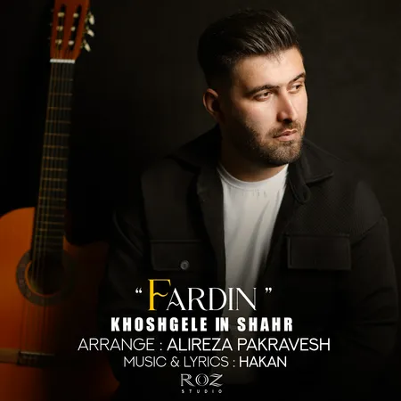 دانلود آهنگ فردین خوشگل این شهر  دانلود آهنگ فردین خوشگل این شهر
