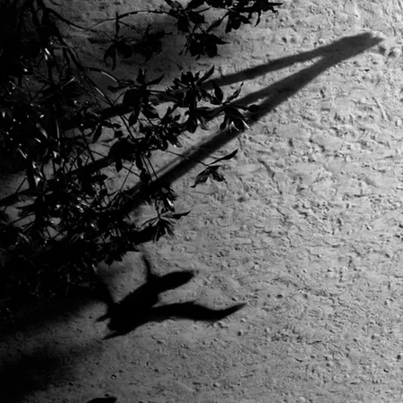 دانلود آهنگ on the nature of daylight  دانلود آهنگ on the nature of daylight