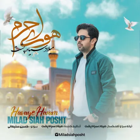 دانلود آهنگ میلاد سیاه پشت هوای حرم  دانلود آهنگ میلاد سیاه پشت هوای حرم