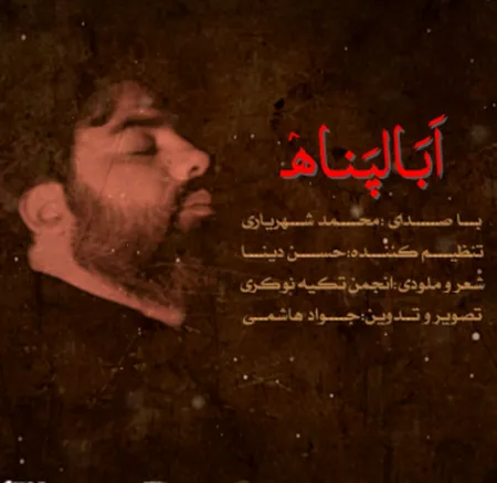 دانلود آهنگ محمد شهریاری ابالپناه  دانلود آهنگ محمد شهریاری ابالپناه