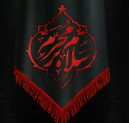 دانلود مداحی یا قاهر العدو یا والی الولی محسن چاوشی  دانلود مداحی یا قاهر العدو یا والی الولی محسن چاوشی