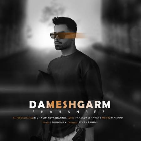 cover دانلود آهنگ شاهان رض دمش گرم