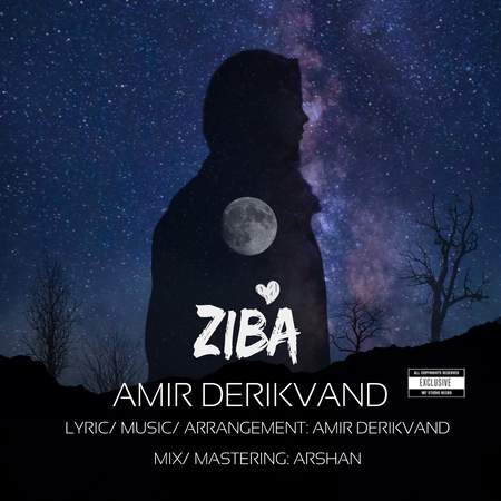 دانلود آهنگ امیر دریکوند زیبا Amir Derikvand Ziba 0243b دانلود آهنگ امیر دریکوند زیبا