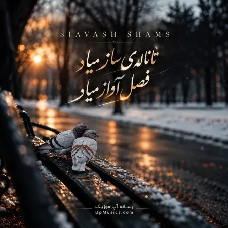 دانلود آهنگ تا ناله ساز میاد صدای اواز میاد دانلود آهنگ تا ناله ساز میاد صدای اواز میاد