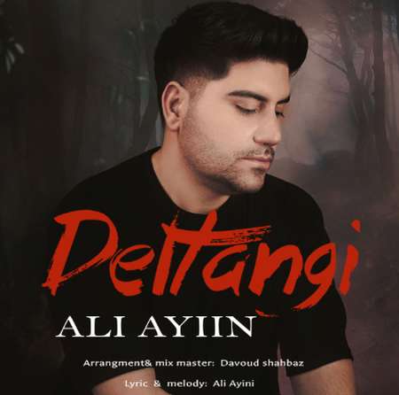 Screenshot 2025 09 28 090636 دانلود آهنگ علی آئین دلتنگی