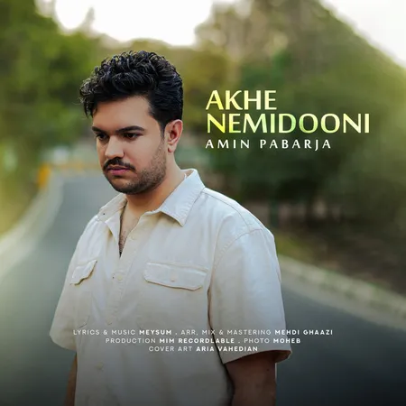 دانلود آهنگ امین پابرجا آخه نمیدونی  دانلود آهنگ امین پابرجا آخه نمیدونی