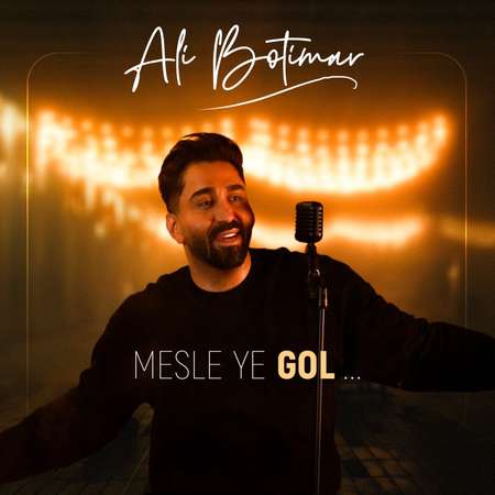 دانلود آهنگ علی بوتیمار مثل یه گل Ali Botimar Mesle Ye Gol 75a73 دانلود آهنگ علی بوتیمار مثل یه گل