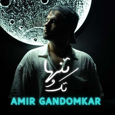 Amir Gandomkar Tak O Tanha 82b2d دانلود آهنگ امیر گندم کار تک و تنها