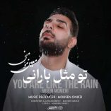 دانلود آهنگ معین مؤمنی تو مثل بارانی دانلود آهنگ معین مؤمنی تو مثل بارانی
