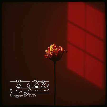 photo 2025 08 07 11 11 09 دانلود آهنگ ام جی شقایق