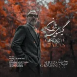 دانلود آهنگ علیرضا قربانی گیسوی باران دانلود آهنگ علیرضا قربانی گیسوی باران