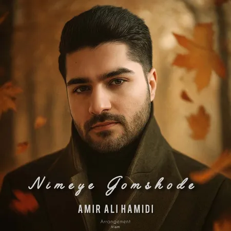  دانلود آهنگ امیر علی حمیدی نیمه ی گمشده