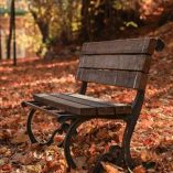 دانلود آهنگ دواره اول پاییز هات دلتنگی او چشمات دانلود آهنگ دواره اول پاییز هات دلتنگی او چشمات