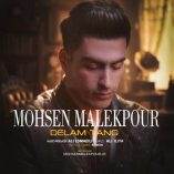 دانلود آهنگ محسن ملک پور دلم تنگه دانلود آهنگ محسن ملک پور دلم تنگه