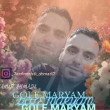 دانلود آهنگ امیر احمدی گل مریم