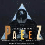 دانلود آهنگ سعید سلطانی پاییز