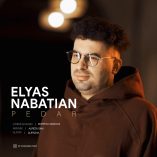 دانلود آهنگ الیاس نباتیان پدر