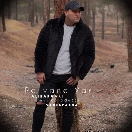  دانلود آهنگ علی برمکی پروانه وار