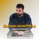 دانلود آهنگ شهریار پاشاپور دلم نمیخواد