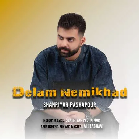  دانلود آهنگ شهریار پاشاپور دلم نمیخواد