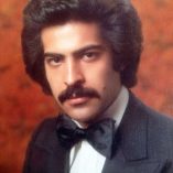 دانلود آهنگ آی انار انار بیا به بالینم شبنم گل نار بیا به بالینم مرتضی