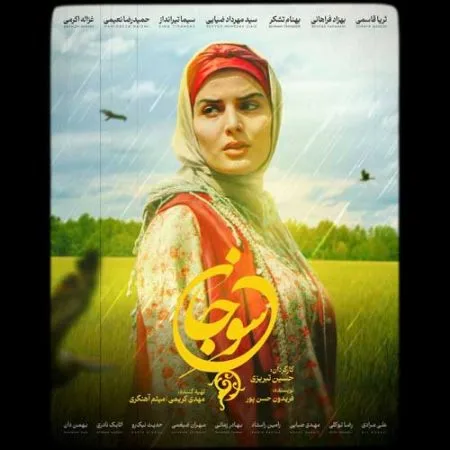 دانلود آهنگ حامد آئین سوجان دانلود آهنگ حامد آئین سوجان