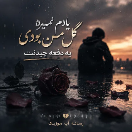دانلود آهنگ یادم نمیره گل من بودی یه دفعه چیدنت دانلود آهنگ یادم نمیره گل من بودی یه دفعه چیدنت