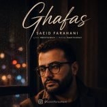 دانلود آهنگ سعید فراهانی قفس