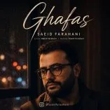 دانلود آهنگ سعید فراهانی قفس