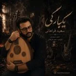 دانلود آهنگ سعید فراهانی یکبارگی دانلود آهنگ سعید فراهانی یکبارگی