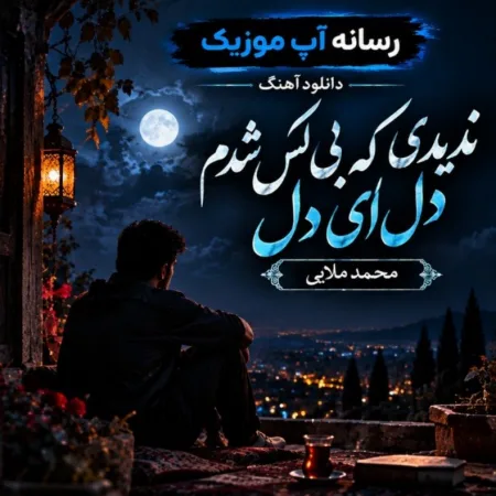  دانلود آهنگ ندیدی که بی کس شدم دل ای دل از محمد ملایی