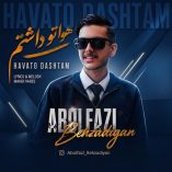 دانلود آهنگ ابولفضل بهزادیان هواتو داشتم