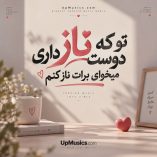 دانلود آهنگ تو که ناز دوست داری میخوای برات ناز کنم + ریمیکس دانلود آهنگ تو که ناز دوست داری میخوای برات ناز کنم + ریمیکس