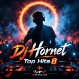 دانلود ریمیکس dj hornet top hits 8 دانلود ریمیکس dj hornet top hits 8