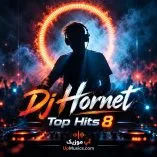 دانلود ریمیکس dj hornet top hits 8 دانلود ریمیکس dj hornet top hits 8