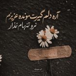 دانلود آهنگ اره دلم گیرت مونده دانلود آهنگ اره دلم گیرت مونده
