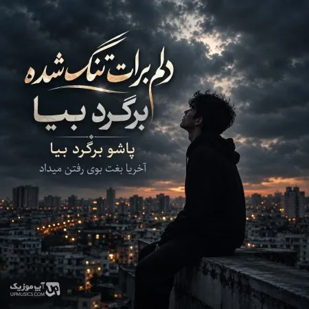  دانلود آهنگ دلم برات تنگ شده برگرد بیا پاشو برگرد بیا اخریا بغلت بو رفتن میداد