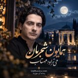 دانلود آهنگ می تراود مهتاب همایون شجریان دانلود آهنگ می تراود مهتاب همایون شجریان