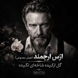 دانلود آهنگ گل ارکیده شاخهای تکیده از ارس ارجمند (هوش مصنوعی) دانلود آهنگ گل ارکیده شاخهای تکیده از ارس ارجمند (هوش مصنوعی)