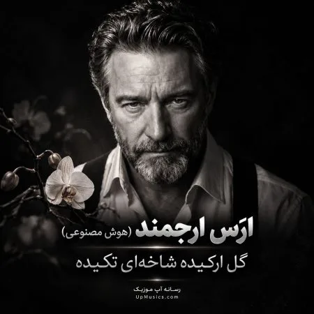 دانلود آهنگ گل ارکیده شاخهای تکیده از ارس ارجمند (هوش مصنوعی) دانلود آهنگ گل ارکیده شاخهای تکیده از ارس ارجمند (هوش مصنوعی)