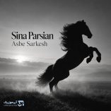 دانلود آهنگ سینا پارسیان اسب سرکش