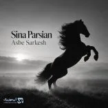 دانلود آهنگ سینا پارسیان اسب سرکش دانلود آهنگ سینا پارسیان اسب سرکش