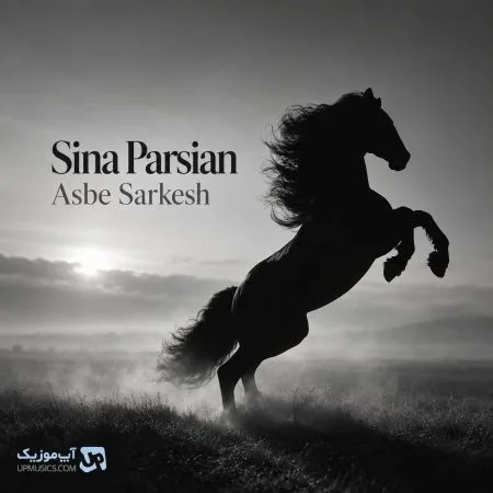 دانلود آهنگ سینا پارسیان اسب سرکش دانلود آهنگ سینا پارسیان اسب سرکش