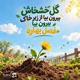 دانلود آهنگ گل خشخاش بیرون بیا از زیر خاک بیرون بیا فصل بهاره دانلود آهنگ گل خشخاش بیرون بیا از زیر خاک بیرون بیا فصل بهاره