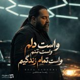 دانلود آهنگ واست دلم واست تنم واست تمام زندگیم