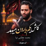 دانلود نوحه کاش یکم بارون میومد از محمد عطایی نیا دانلود نوحه کاش یکم بارون میومد از محمد عطایی نیا